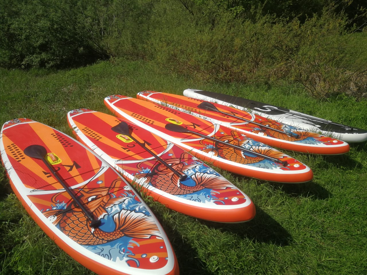 Gallery 0fbbdbe9-1625-4bc4-88e5-f2f10d2e68fd