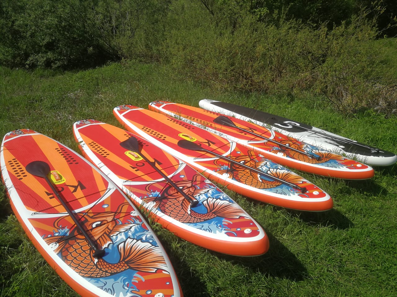  Сплавы на сапбордах по реке или водохранилищу   》